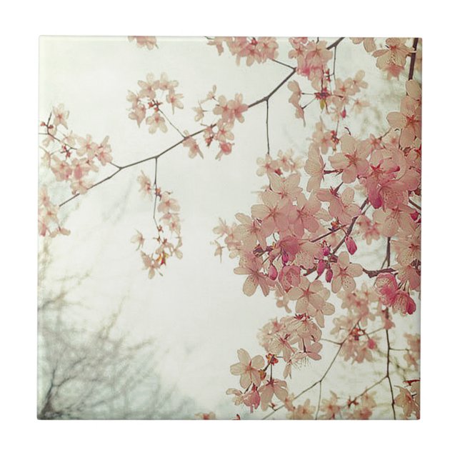 Cherry Blossoms (Frente)