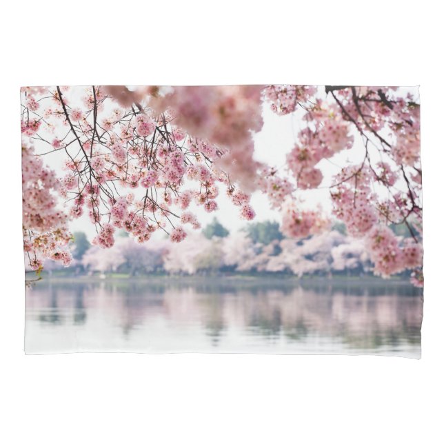 Cherry Blossoms (Frente)