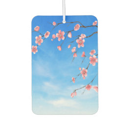 Cherry Blossoms