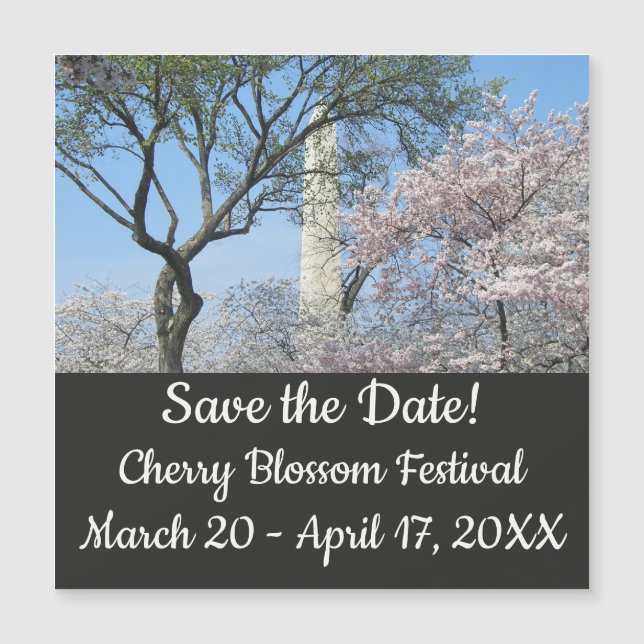 Cherry Blossoms e o Monumento de Washington em DC (Frente)