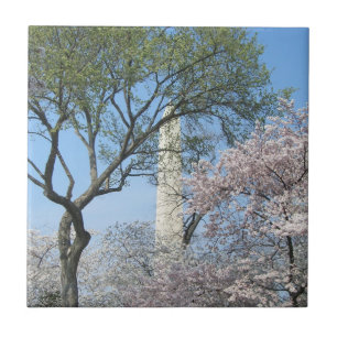 Cherry Blossoms e o Monumento de Washington em DC