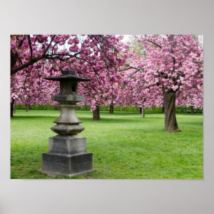 Cherry Blossoms e Pagoda Poster (Matte)