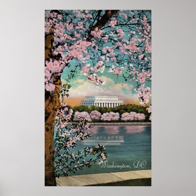 Cherry Blossoms no Poster de Washington DC (Frente)