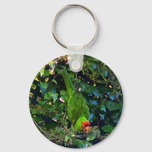 Cherry Headed Conure nº 1 Chaveiro