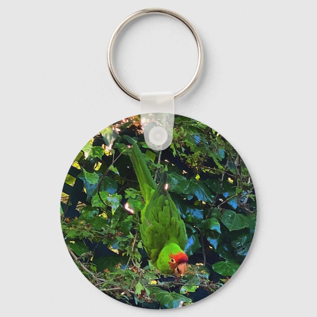 Cherry Headed Conure nº 1 Chaveiro (Frente)