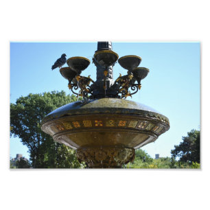 Cherry Hill Fountain Central Park Fotografia NYC