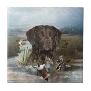 Chesapeake Bay Retriever, Arte