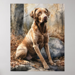 Chesapeake Bay Retriever Dog Art Impressão