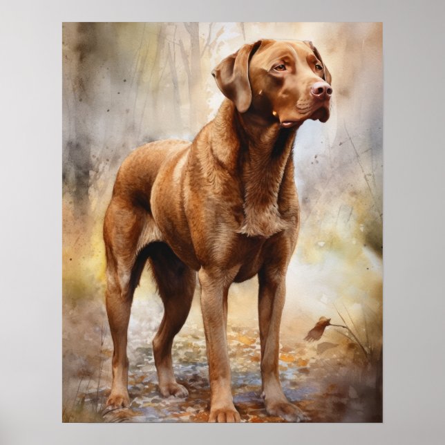 Chesapeake Bay Retriever Dog Art Impressão (Frente)