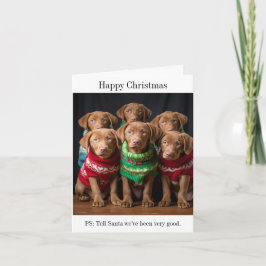 Chesapeake Bay Retriever Puppia Cartão de Natal