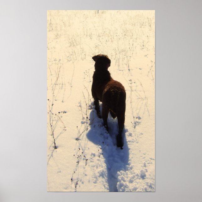 Chessie Poster (Frente)