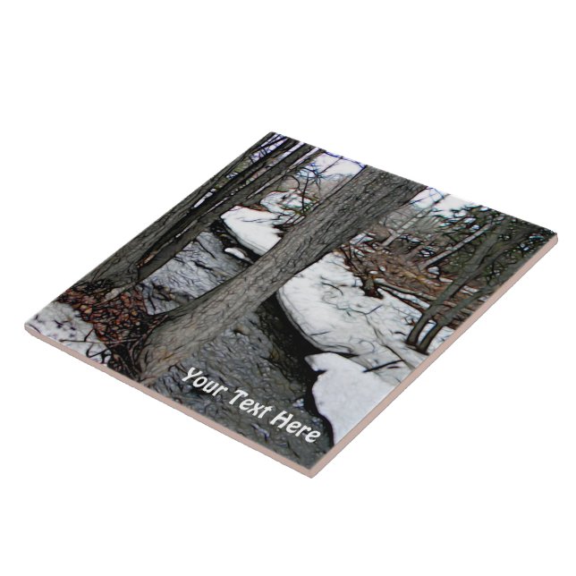 Chester Creek (Lateral)