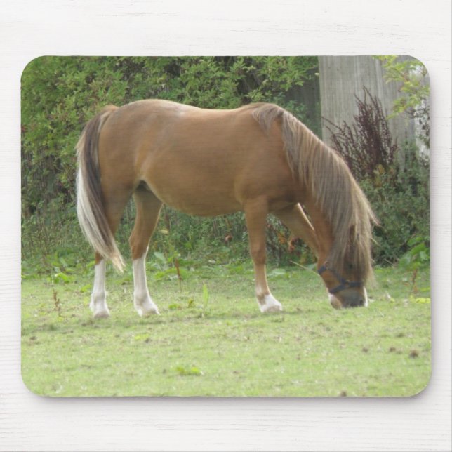 Chestnut Brown Horse Grazing Mousepad (Frente)
