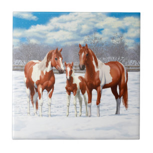Chestnut Pinto Sorrel Paint Quarter Hors Em Neve