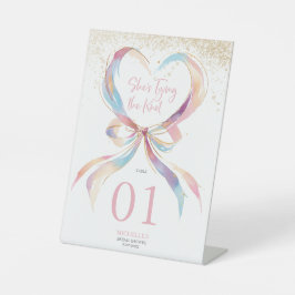 Chic Ela é Casando Arco Rosa