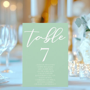 Chic Mint Green White Mesa Card w Names