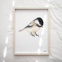 Chickadee Art Impressão