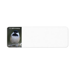 Chickadee, eu Preferencialmente ser a etiqueta do