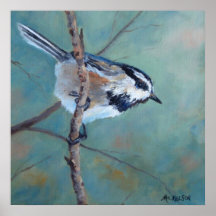 Chickadee Fine Art Bird Impressão