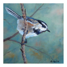 Chickadee Fine Art Bird Impressão