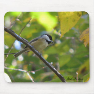 Chickadee Mousepad da queda