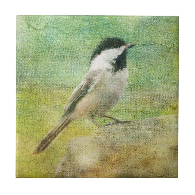 Chickadee Textured (Frente)
