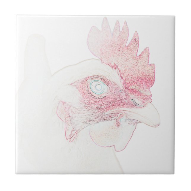 Chicken Hen Rooster Sketch (Frente)