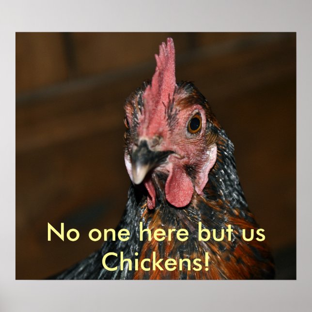 Chicken - Poster (Frente)