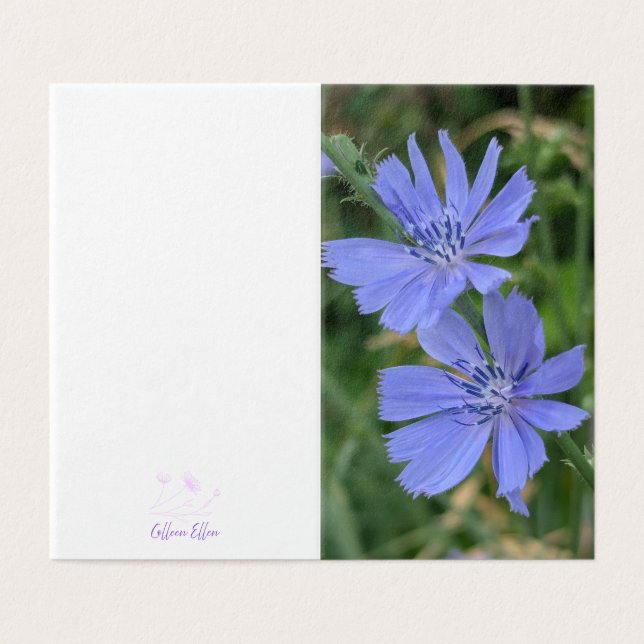 Chicory Flower Folded Note Card (Exterior Desdobrado)