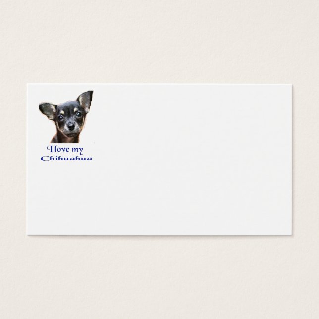 Chihuahua (Frente)