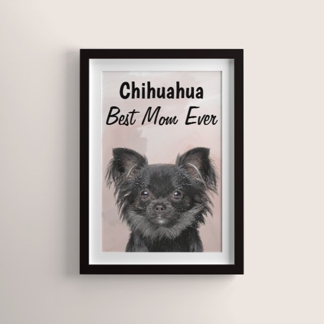 Chihuahua Best Mãe Poster (Criador carregado)