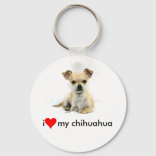 chihuahua, chaveiro