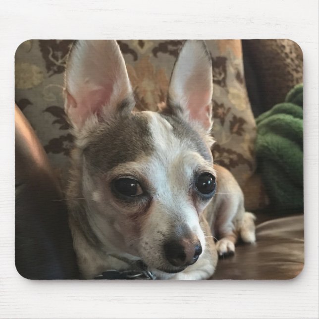 Chihuahua Dog Mousepad (Frente)