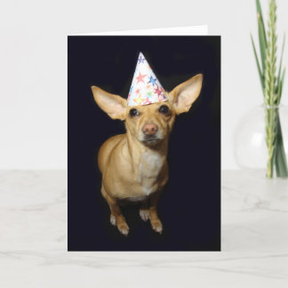 Chihuahua Dog Parte Hábito Cartão de Aniversário