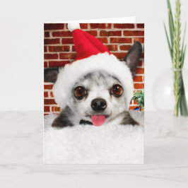 CHIHUAHUA em Santa - Cartão