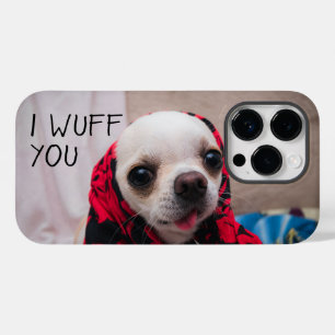Chihuahua fofo Eu queria que você amasse Namorados