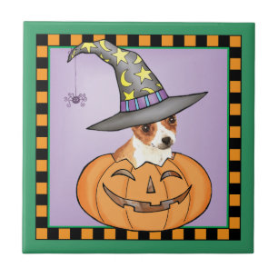 Chihuahua Halloween