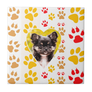 Chihuahua Heart Paw Prints