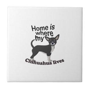 Chihuahua Home