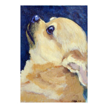 Chihuahua Impressão