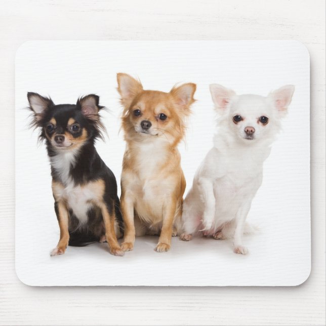 Chihuahua Mousepad (Frente)