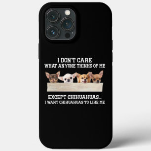 Chihuahua Não me importo com o que pensam de mim