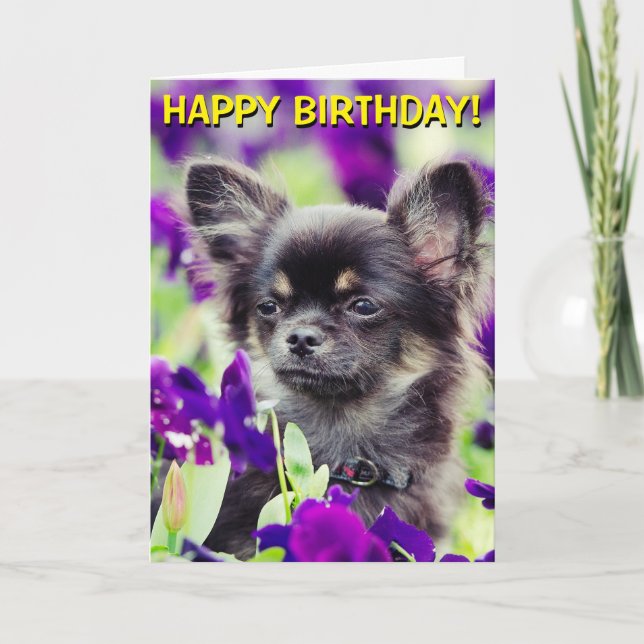 Chihuahua no cartão de aniversário de flores (Frente)