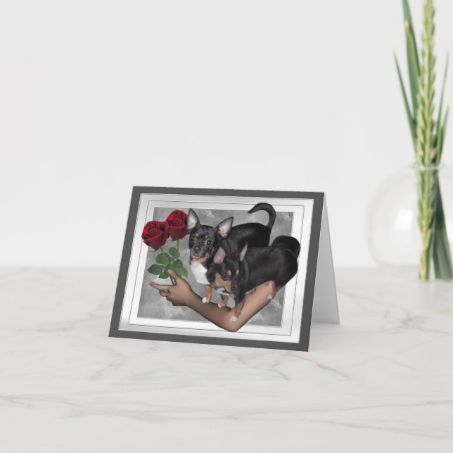 Chihuahua Rosa Cartão de Amor (Frente)