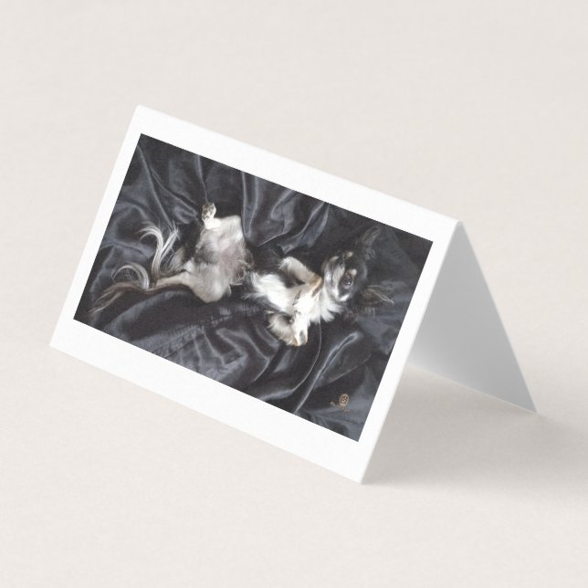 Chihuahua sobre Seda Negra (Frente)