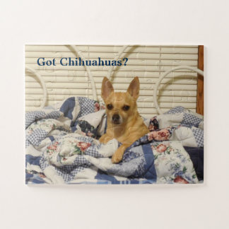 Chihuahuas obtidas quebra-cabeça