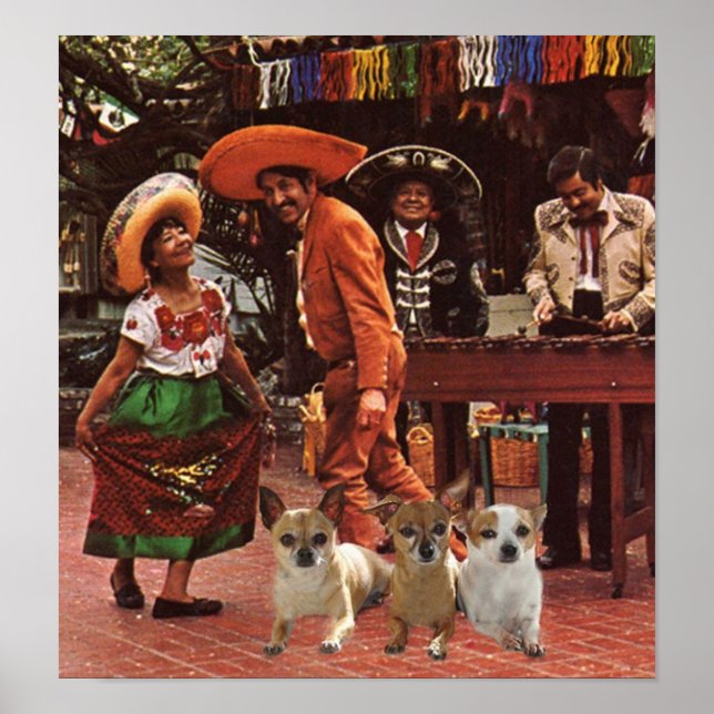 Chihuahuas Poster 3 Amigos (Frente)