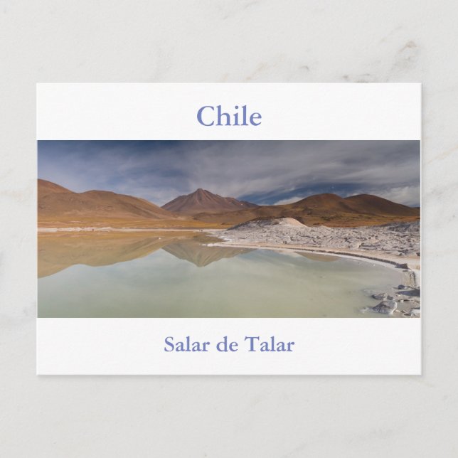 Chile - Salar de Talar — cartão postal plano sem t (Frente)