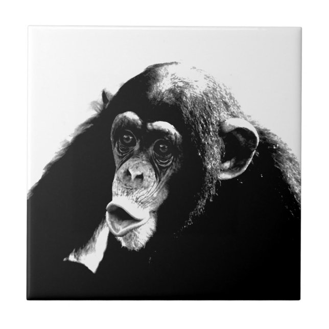 Chimpanzé Branco Preto (Frente)