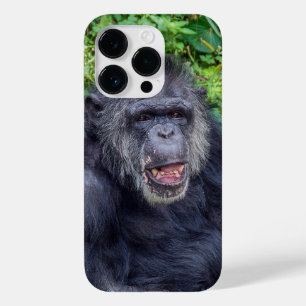 Chimpanzé Fechar